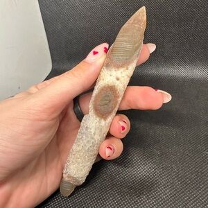 Gobi Agate witches finger